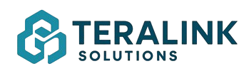 Teralink Solutions
